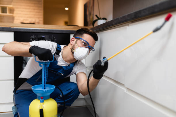 Best Pest Removal Services  in Lexington, NE