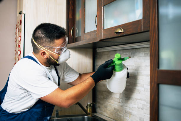 Best Pest Prevention Services  in Lexington, NE