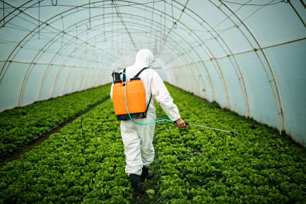 Best Pest Control for Restaurants  in Lexington, NE