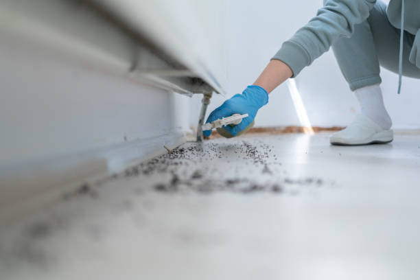 Wildlife Control Services in Lexington, NE